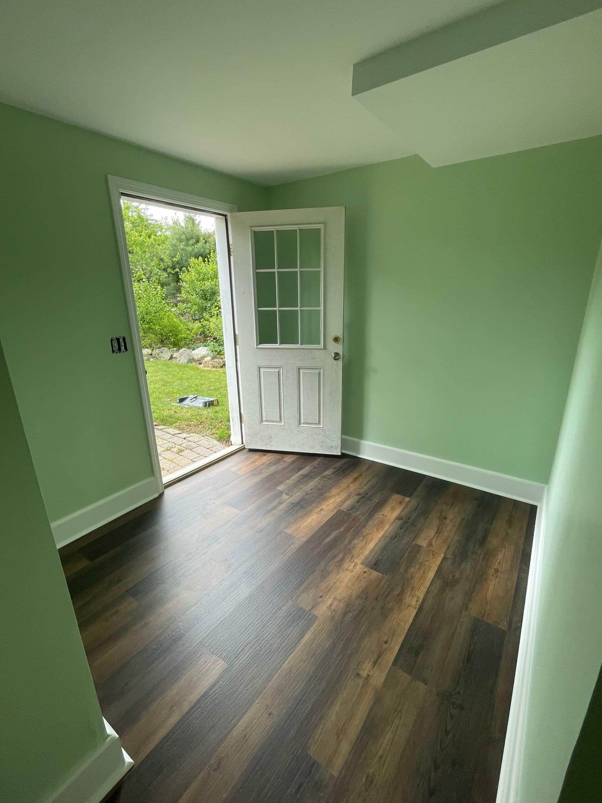 Finished mudroom with soft green walls, white trim, and dark plank flooring by the back door