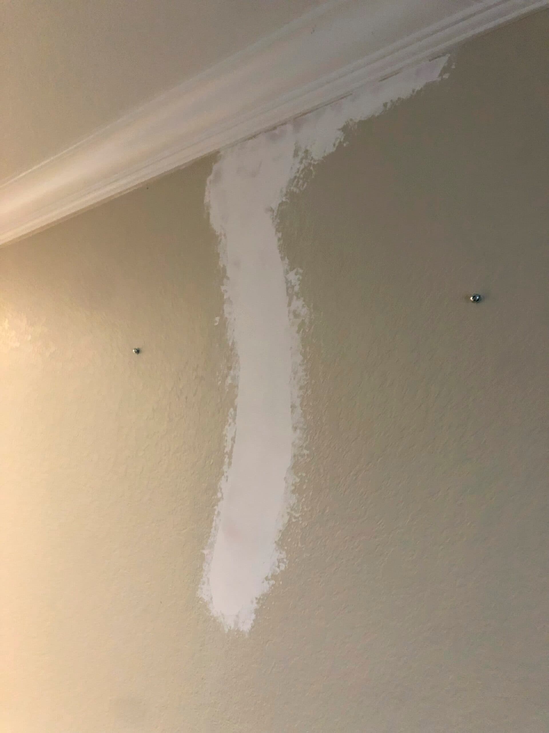 Drywall patch feathered into a textured wall below crown molding, ready for paint